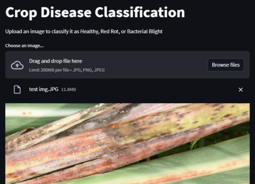 Crop Disease Detection System